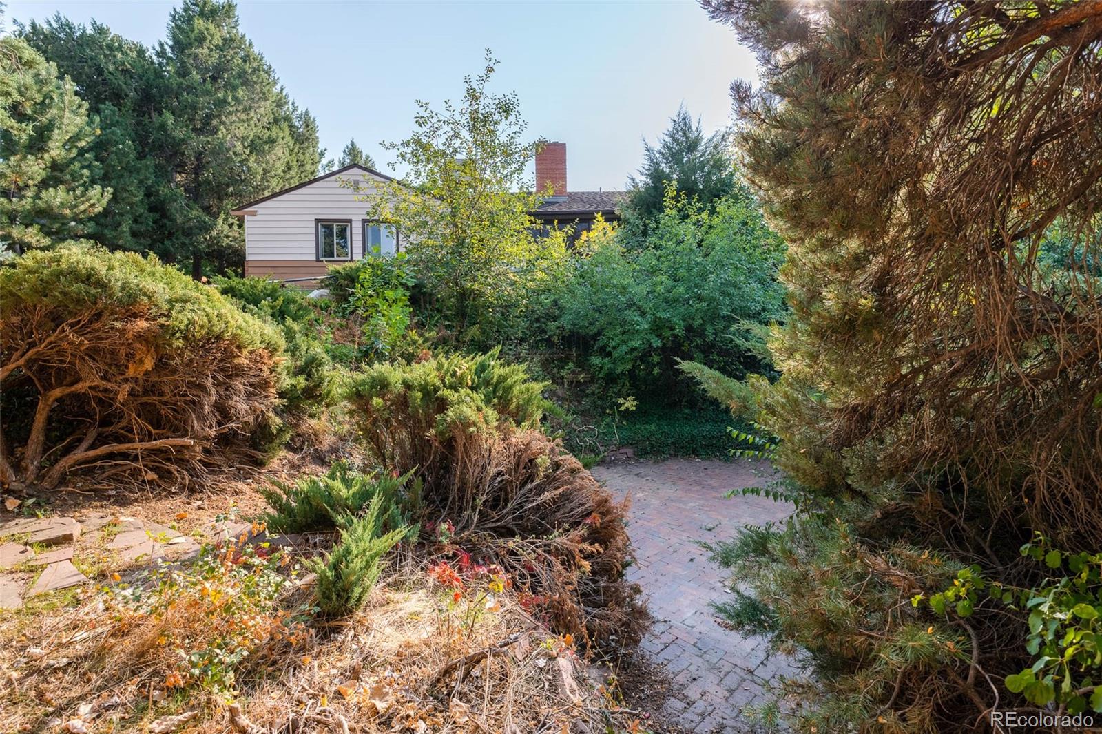 4093 Field Drive Wheat Ridge, CO 80033 - Photo 17 of 22