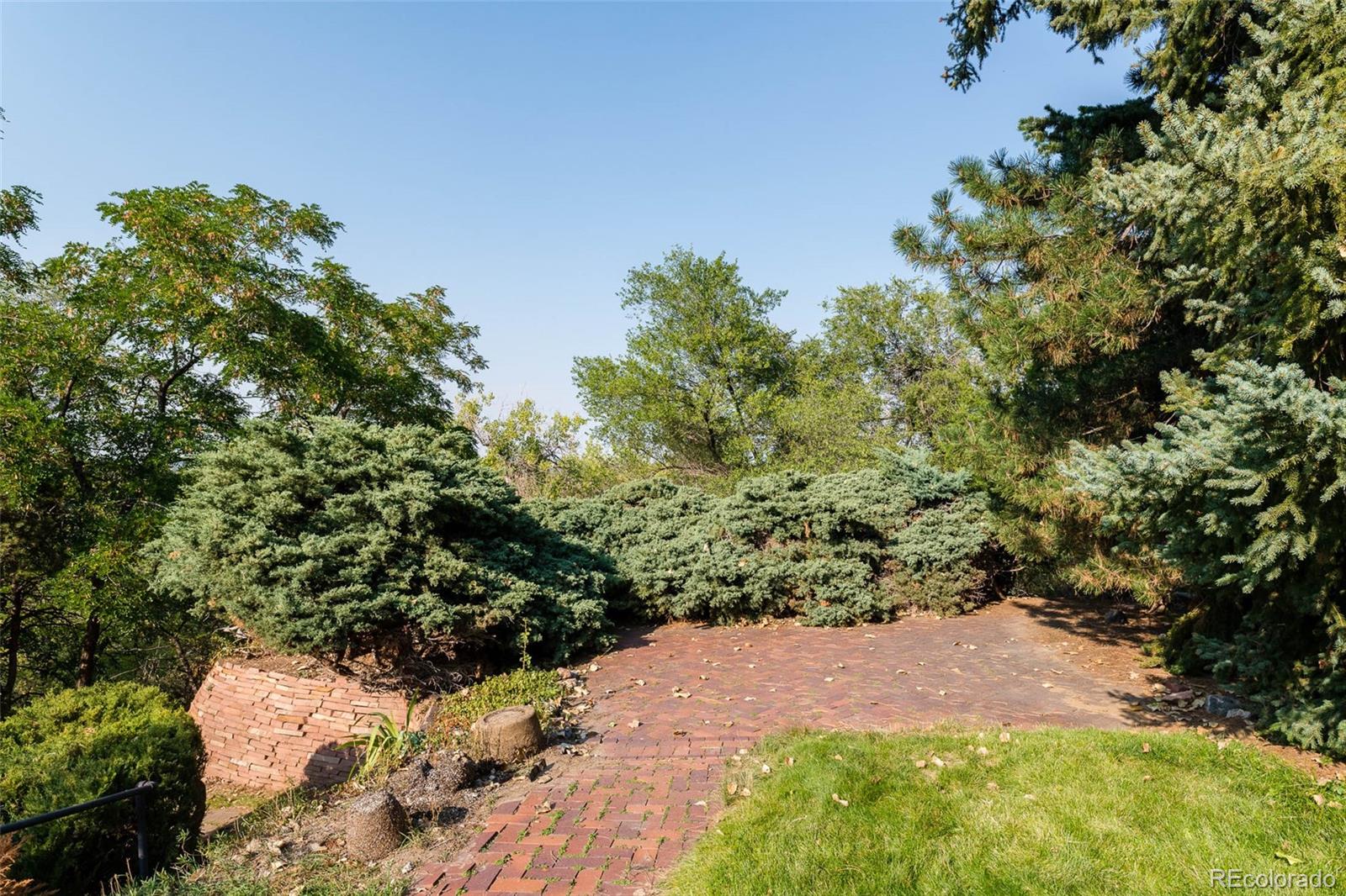 4093 Field Drive Wheat Ridge, CO 80033 - Photo 19 of 22