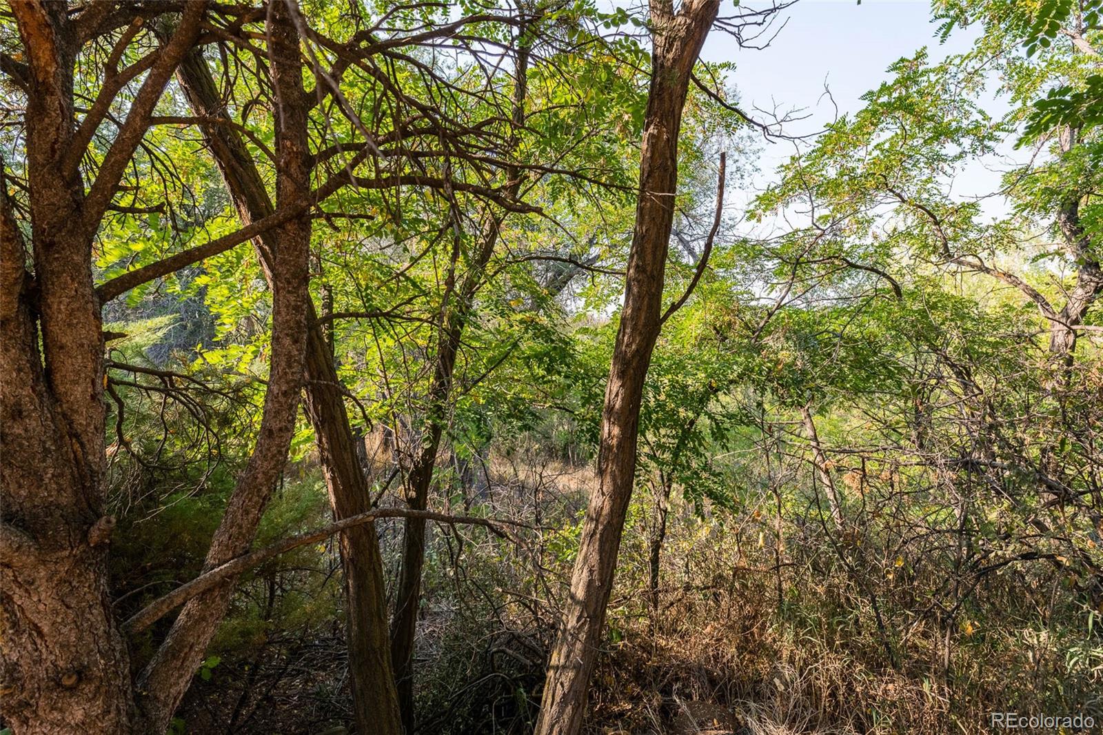 4093 Field Drive Wheat Ridge, CO 80033 - Photo 20 of 22