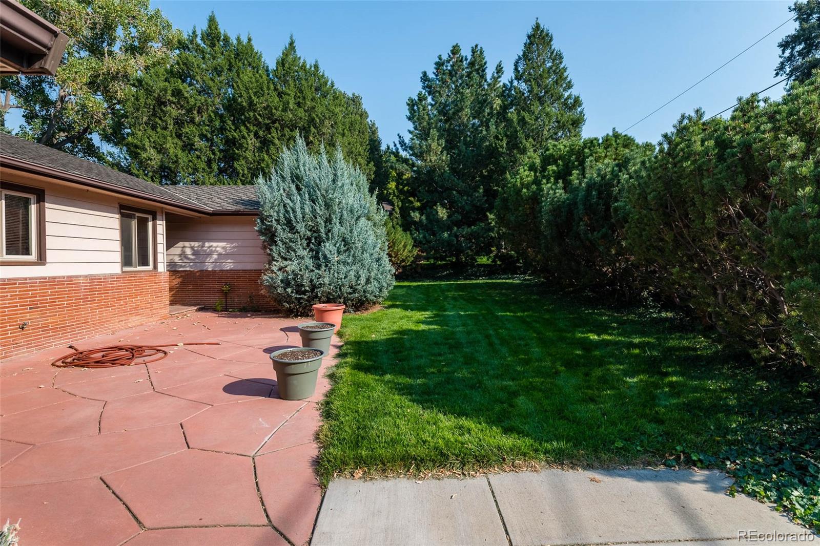 4093 Field Drive Wheat Ridge, CO 80033 - Photo 2 of 22