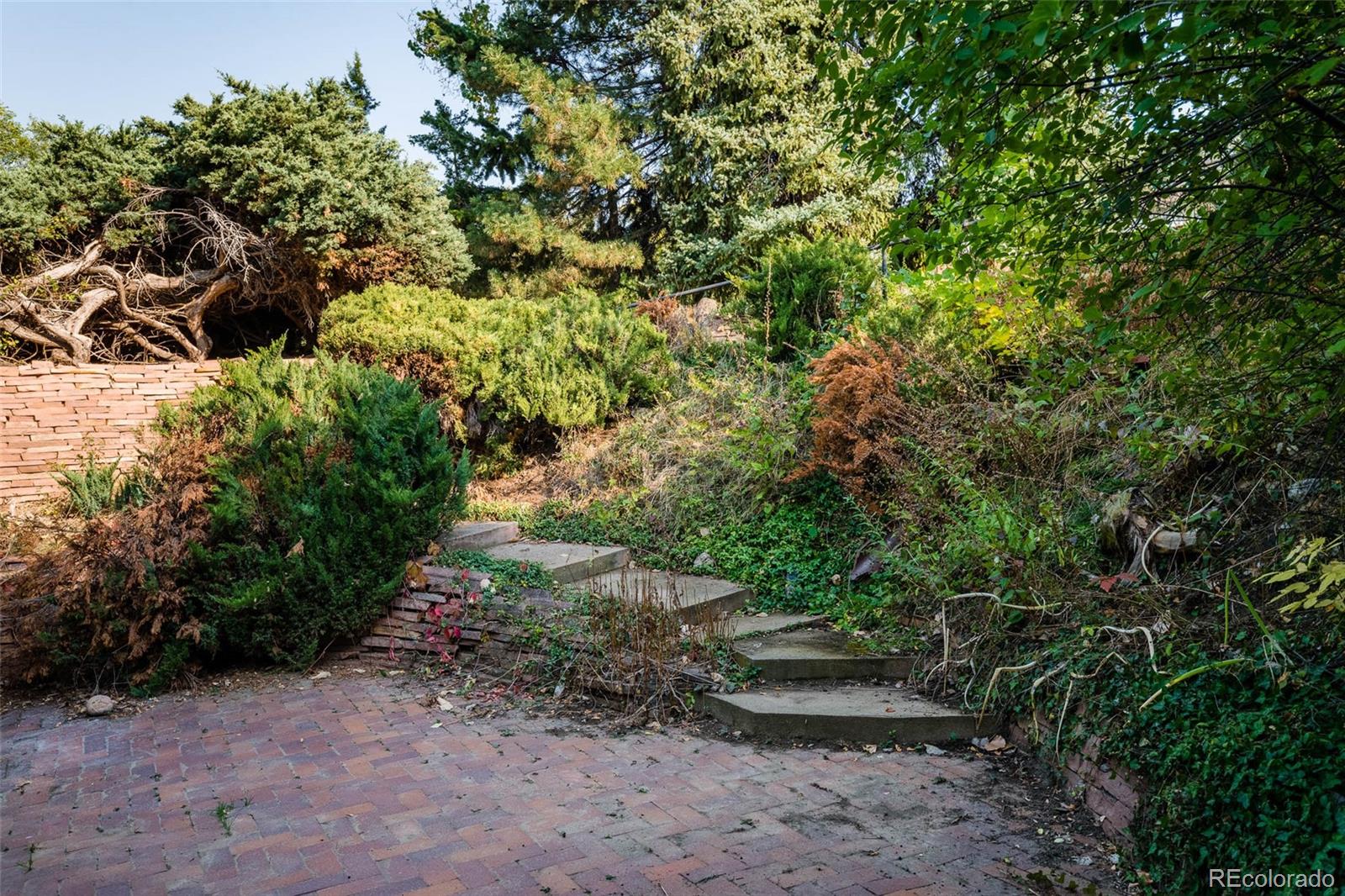 4093 Field Drive Wheat Ridge, CO 80033 - Photo 22 of 22