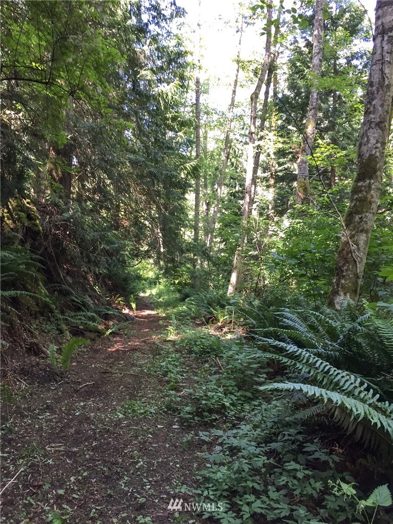 480 Daisey King Road Sequim, WA 98382 - Photo 17 of 25 Gallery Image 17