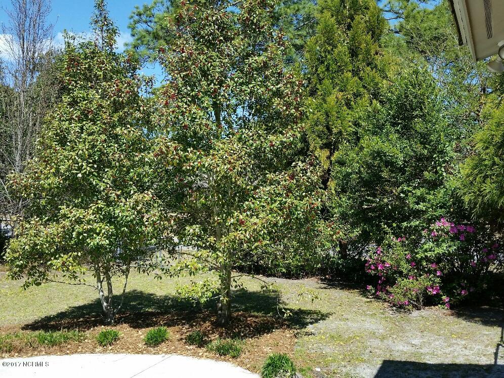 161 Partridge Road Wilmington, NC 28412 - Photo 36 of 37 20170324_123302_resized