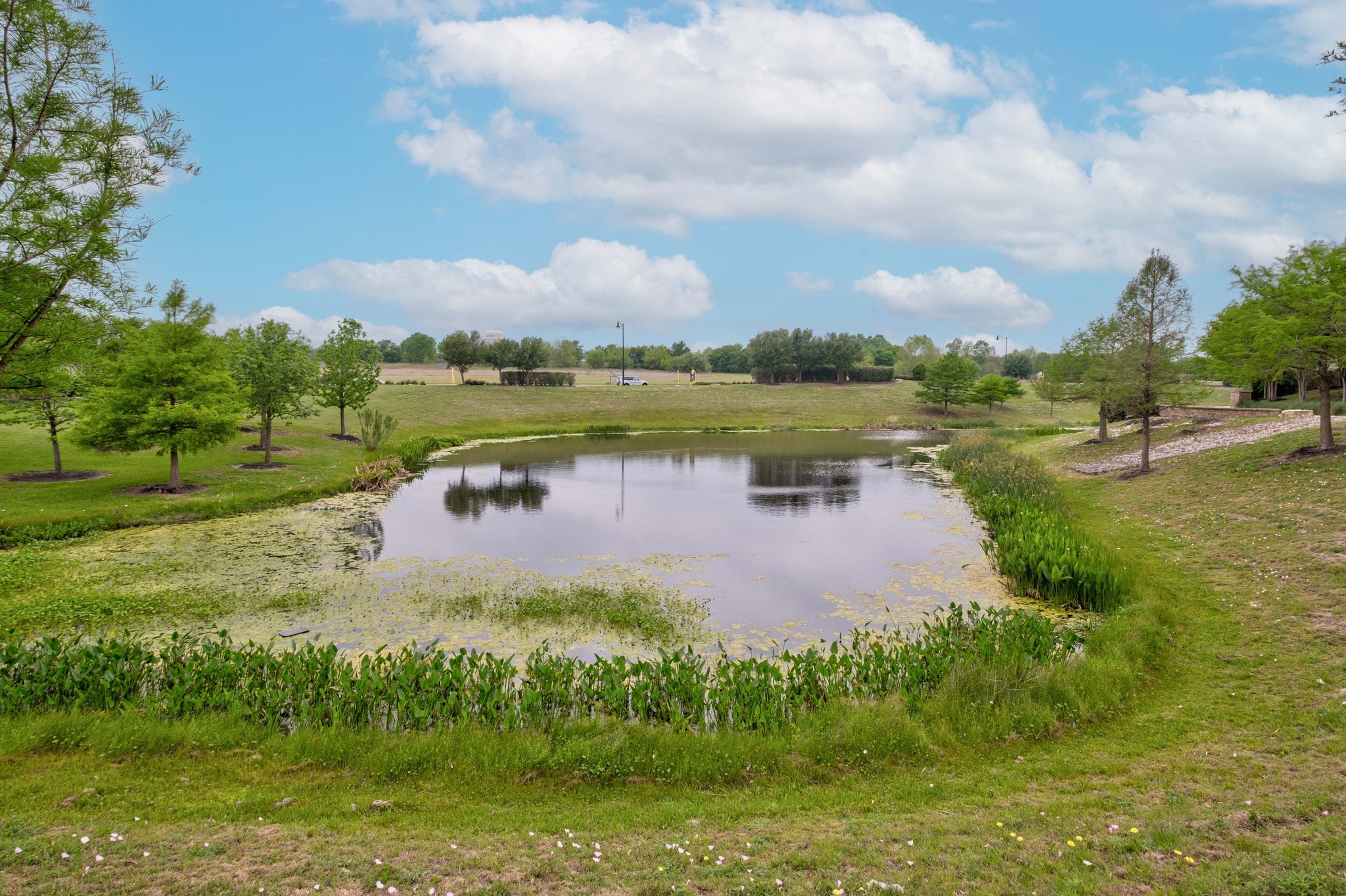 117 Switch Bud Drive Buda, TX 78610 - Photo 25 of 28