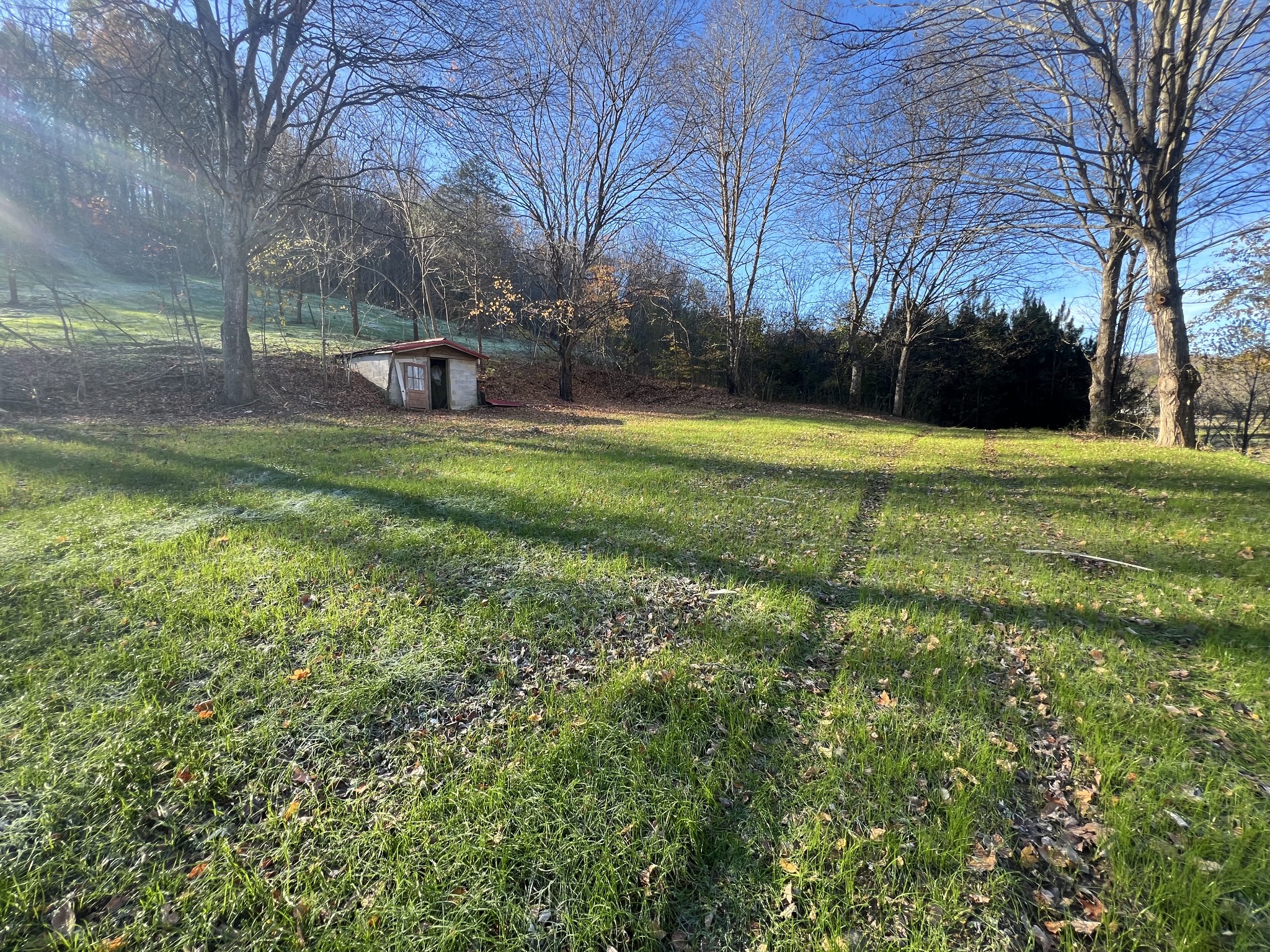 125 Ben Johnson Road Pulaski, TN 38478 - Photo 11 of 18
