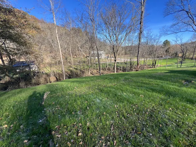 a view of a park with large trees