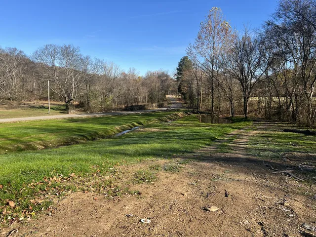 a view of a park with large trees