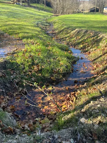 a view of a field with a plant
