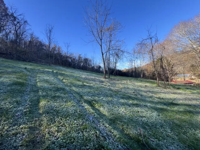 a view of a field of grass and trees