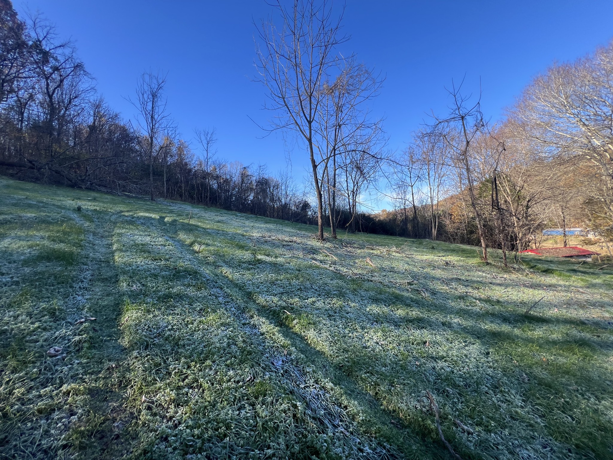 125 Ben Johnson Road Pulaski, TN 38478 - Photo 17 of 18