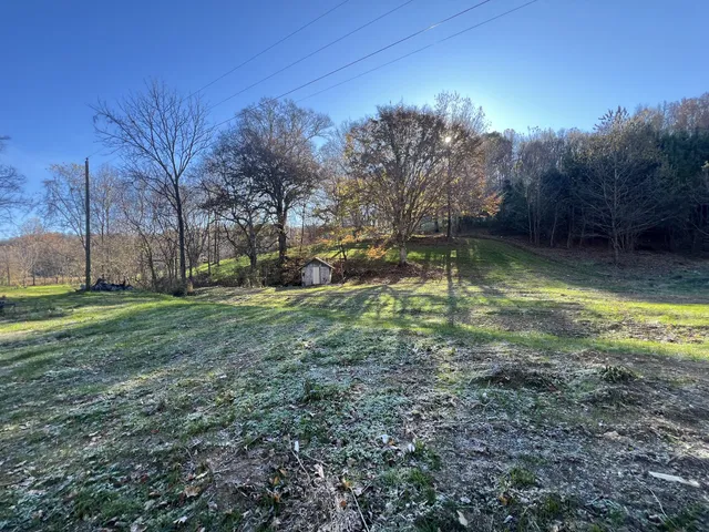 a view of yard with trees