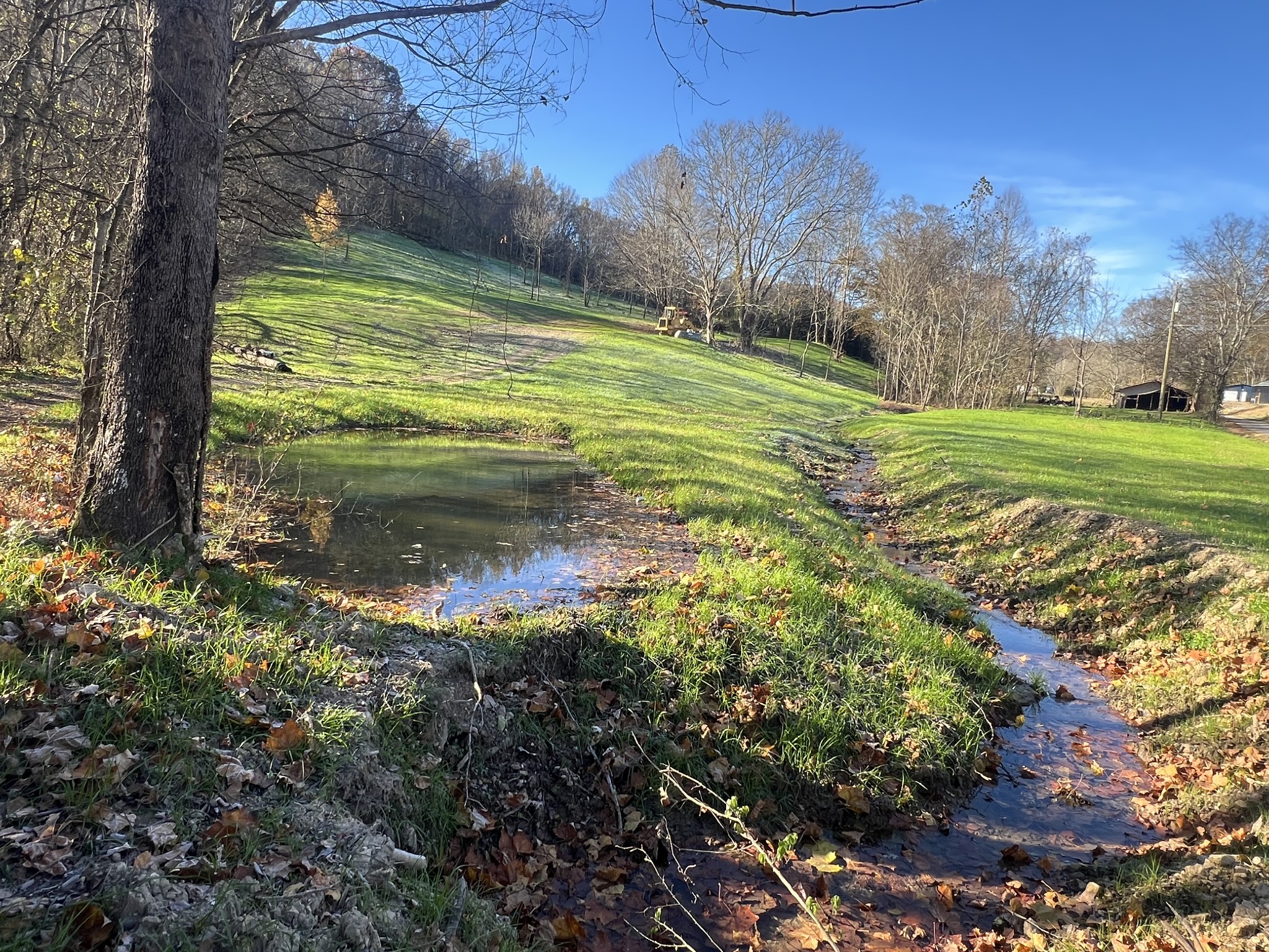 125 Ben Johnson Road Pulaski, TN 38478 - Photo 5 of 18