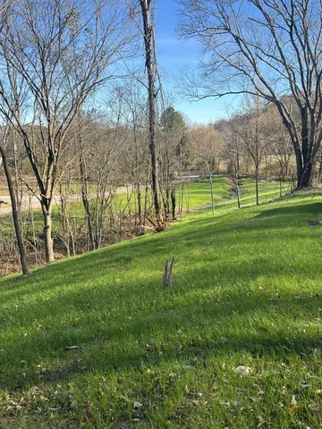 a view of a park with large trees