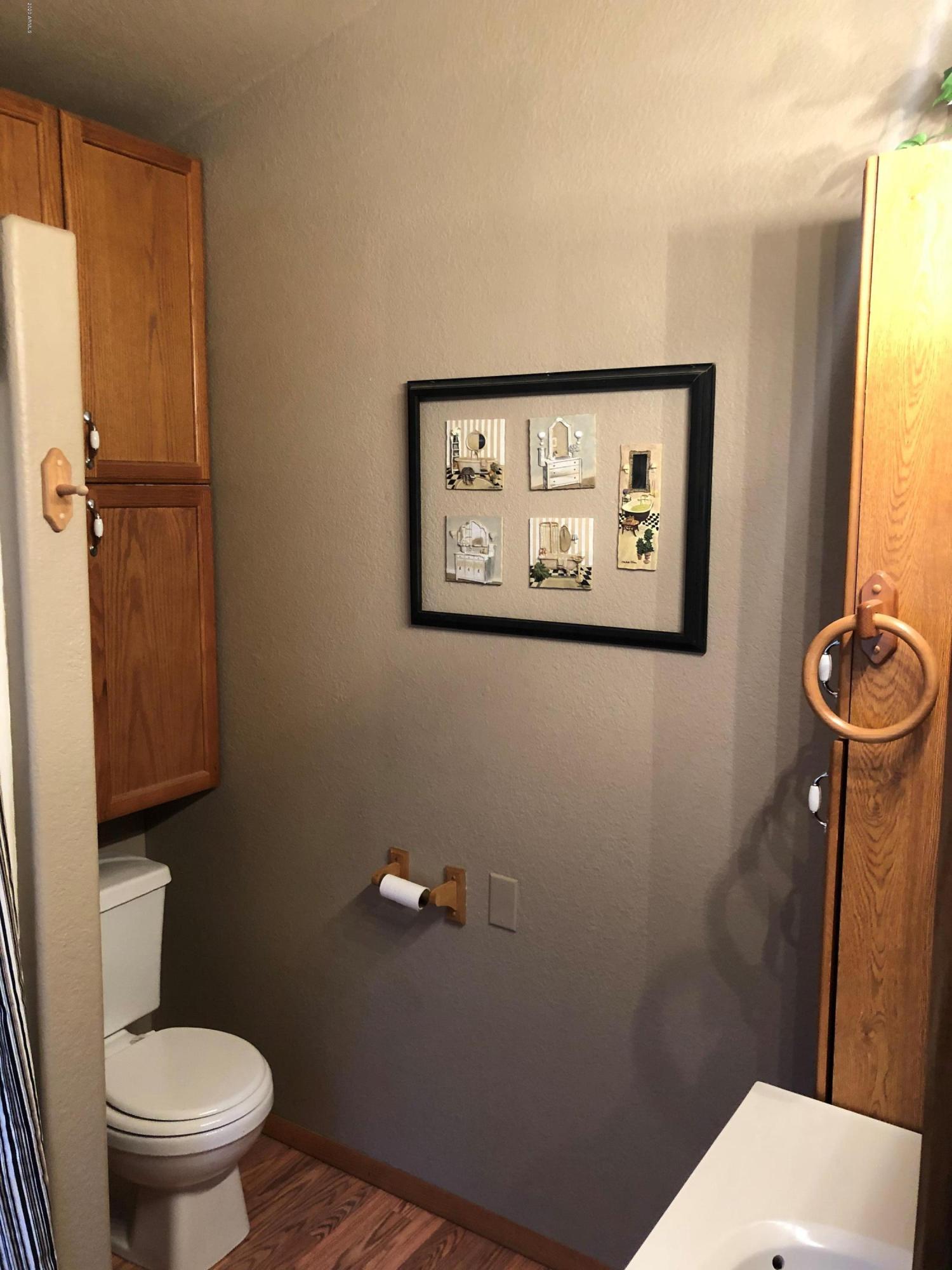 2719 Hooks Way Overgaard, AZ 85933 - Photo 9 of 11 Master bath 2