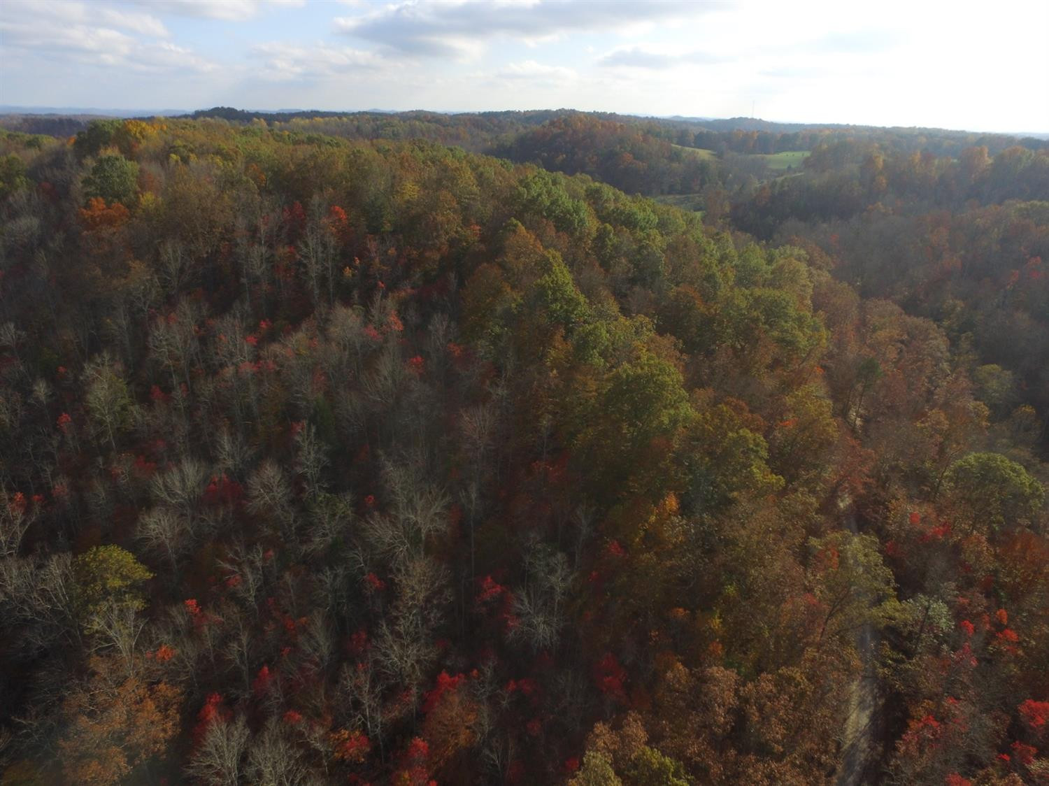 1706 Sturgeon Road Tyner, KY 40486 - Photo 29 of 35 Photo 29