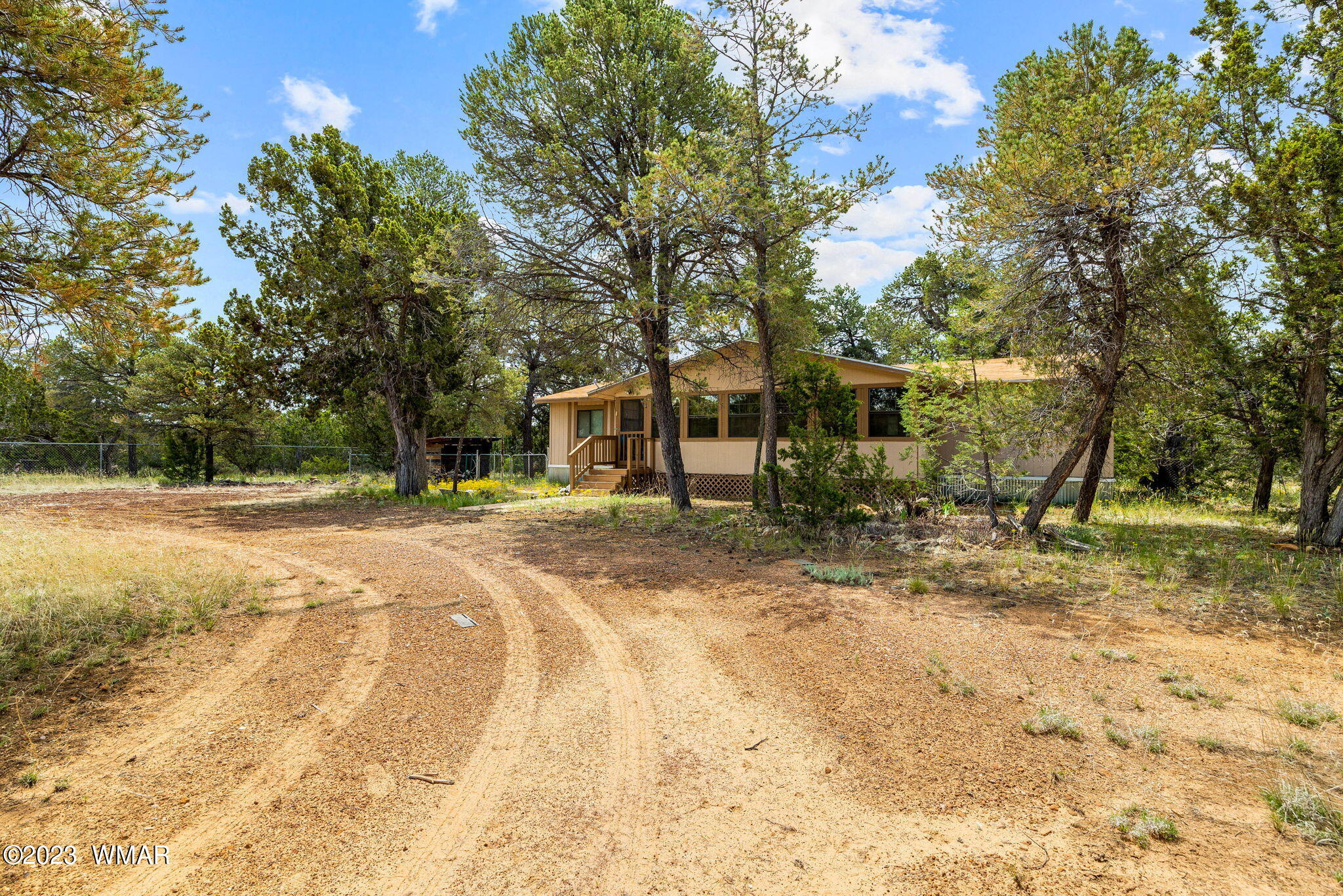 3067 Ponderosa Road Overgaard, AZ 85933 - Photo 4 of 32 a view of a yard with trees