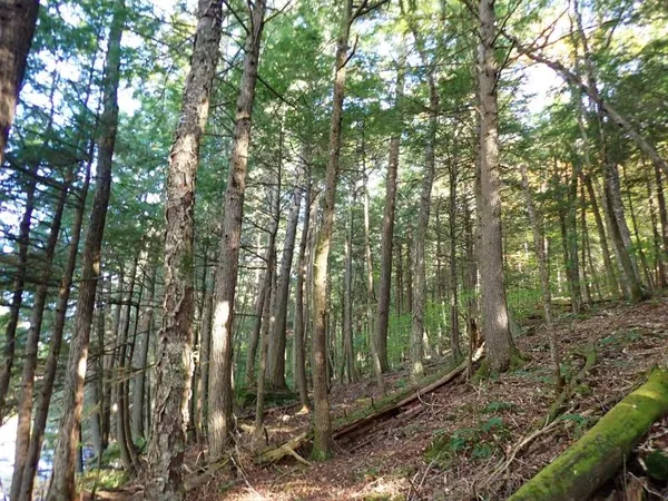 $237,000 | New Boston Road, Thetford Center, VT 05075