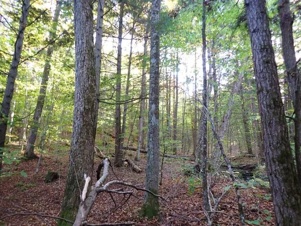 $237,000 | New Boston Road, Thetford Center, VT 05075