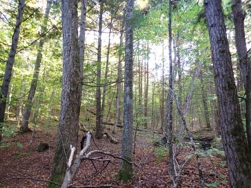 New Boston Road Thetford Center, VT 05075 - Photo 12 of 15