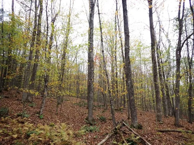 $237,000 | New Boston Road, Thetford Center, VT 05075