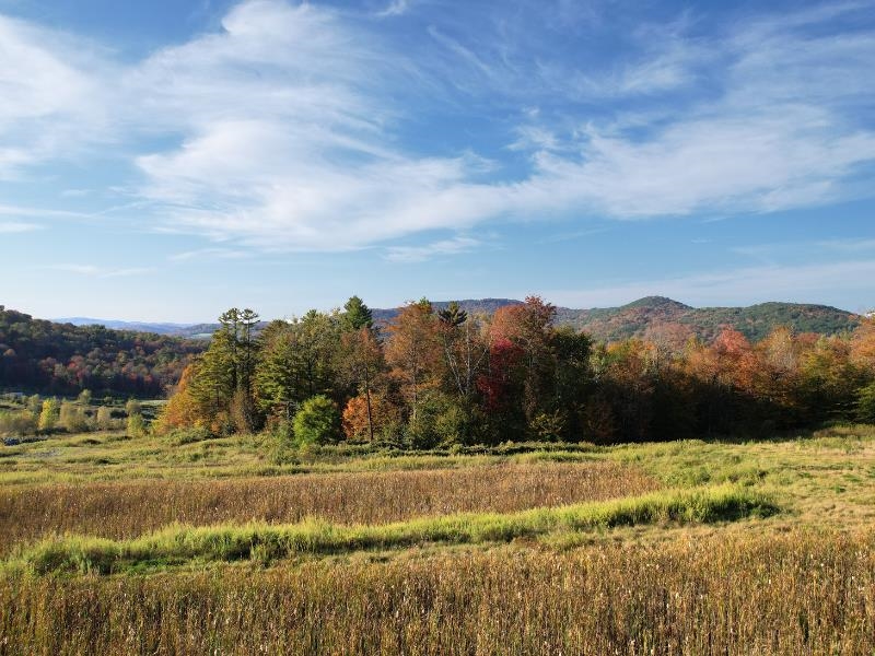 New Boston Road Thetford Center, VT 05075 - Photo 8 of 15