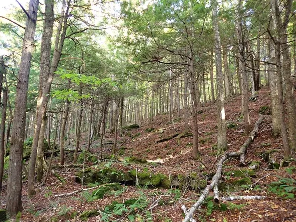 $237,000 | New Boston Road, Thetford Center, VT 05075