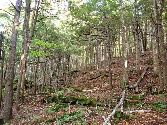 $237,000 | New Boston Road, Thetford Center, VT 05075