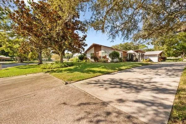 a view of a yard with plants and trees
