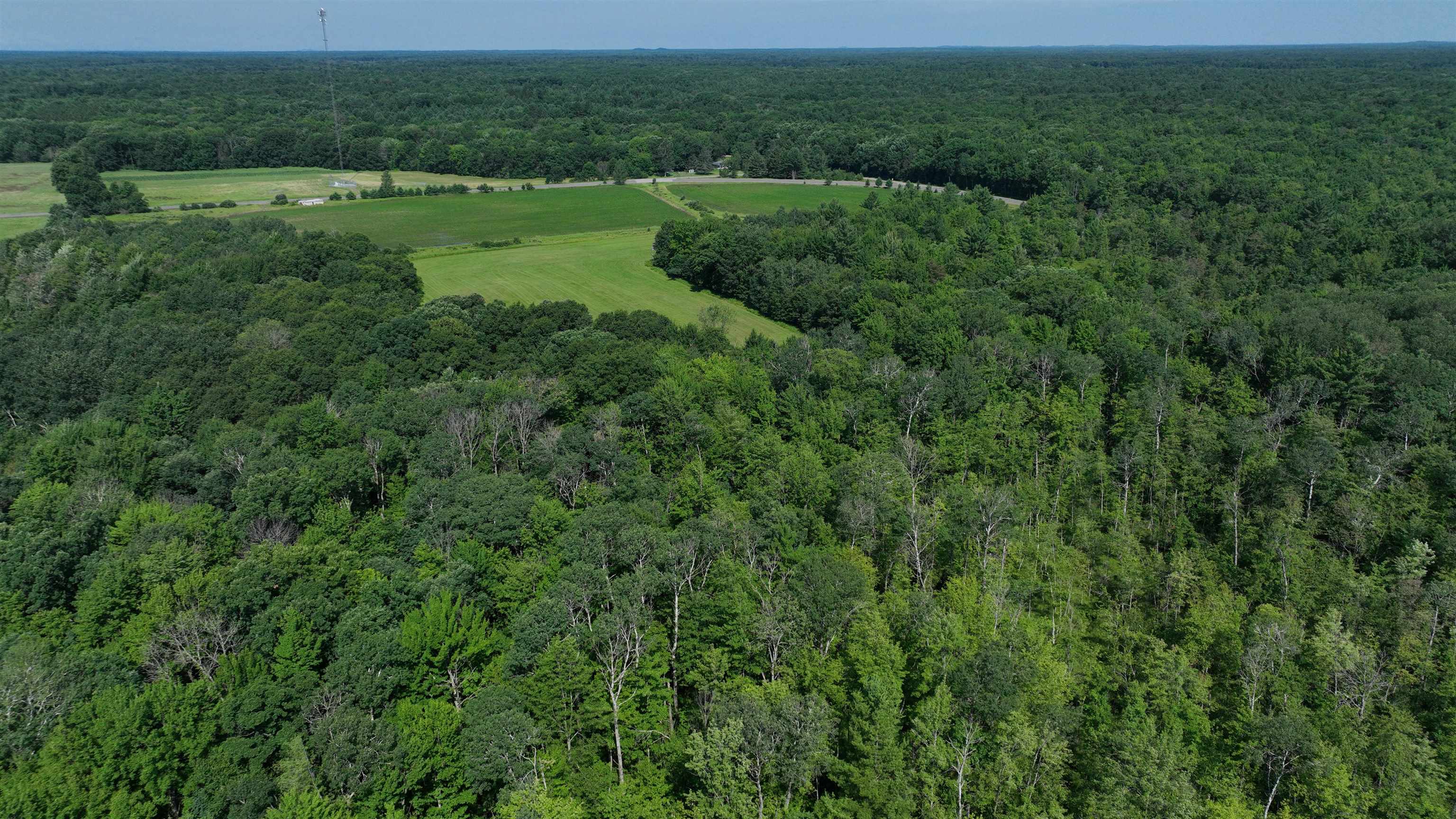 38.85-ac County Road East Pittsville, WI 54466 - Photo 34 of 50
