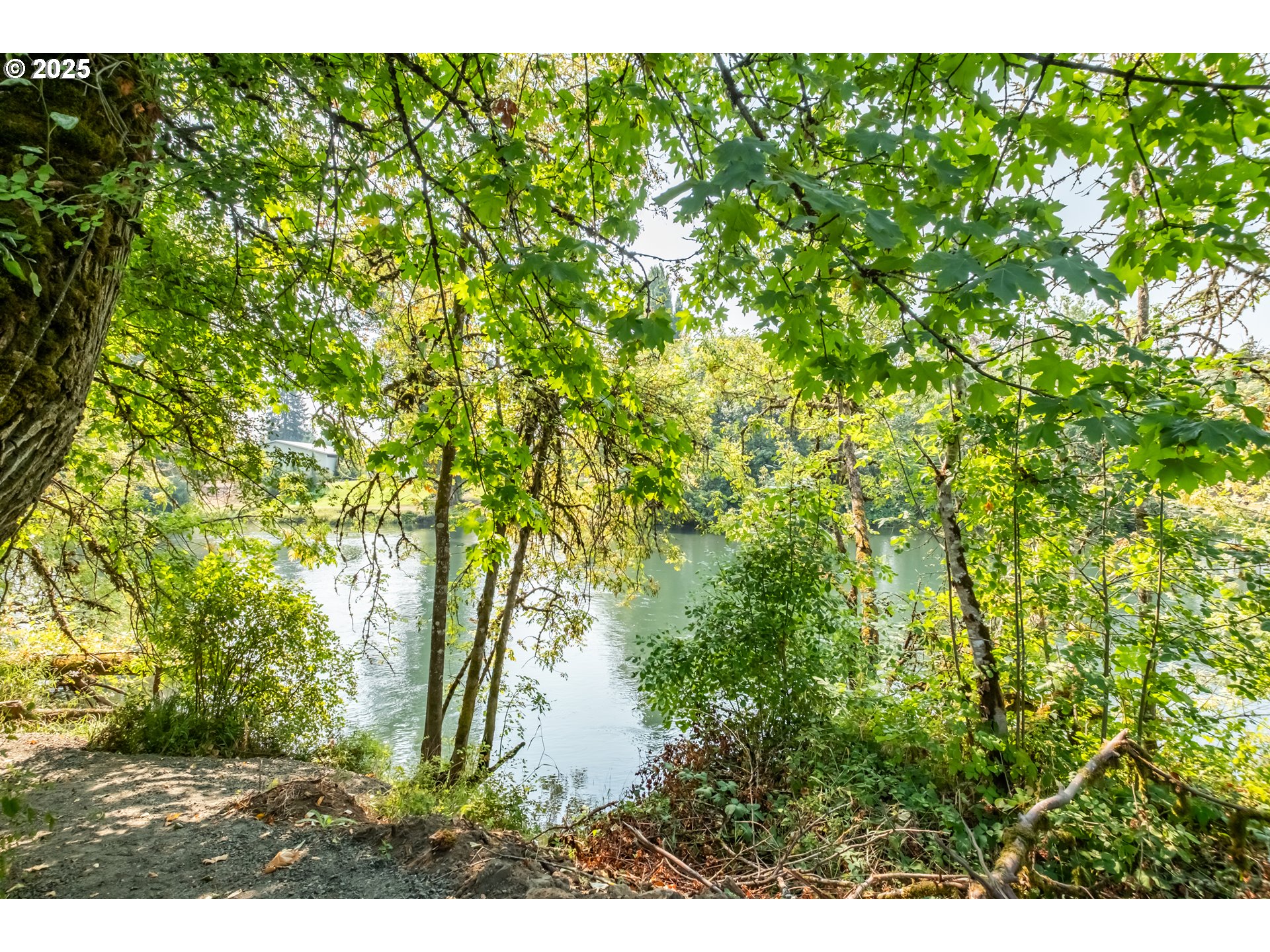 39229 Plagman Drive Lebanon, OR 97355 - Photo 34 of 41