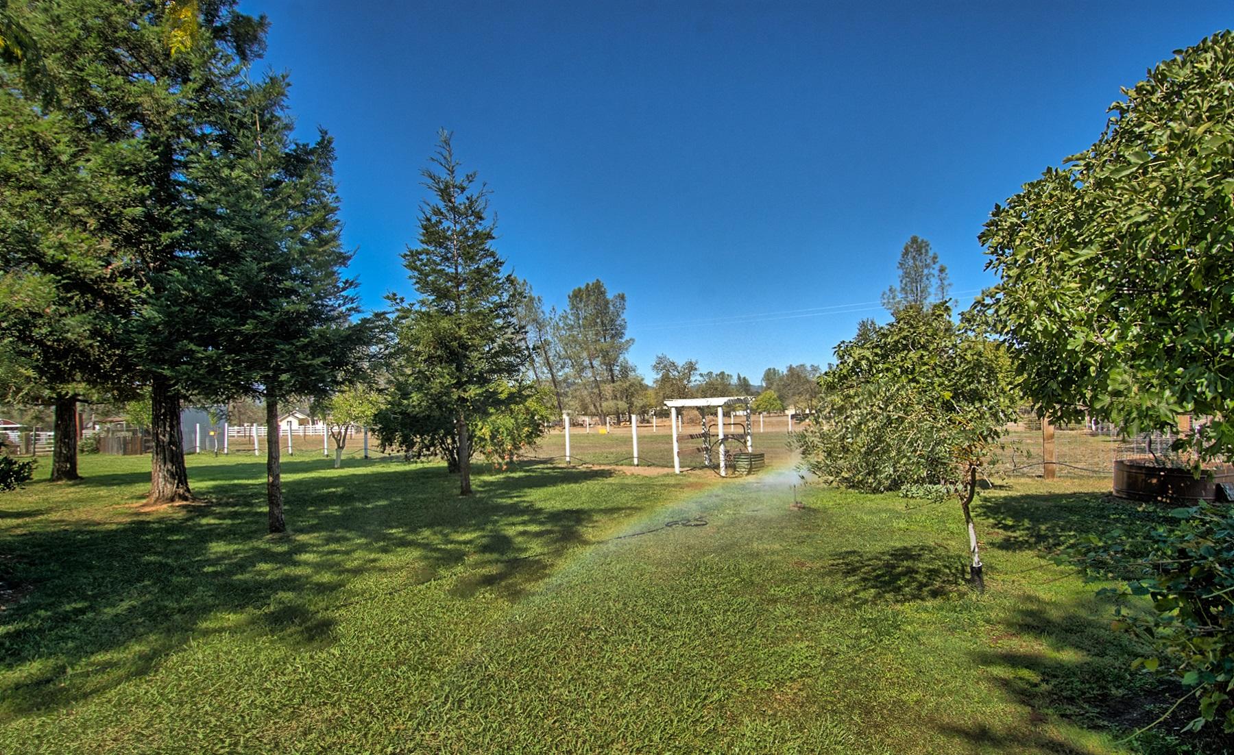 16181 Willow Springs Road Anderson, CA 96007 - Photo 17 of 28 yard and pasture view