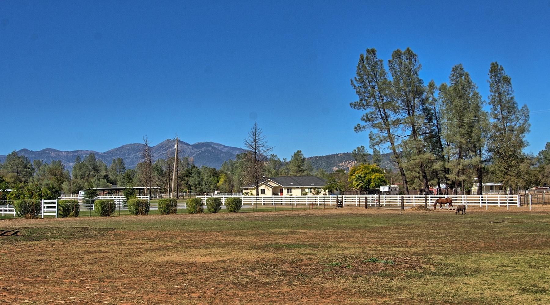 16181 Willow Springs Road Anderson, CA 96007 - Photo 18 of 28 pasture