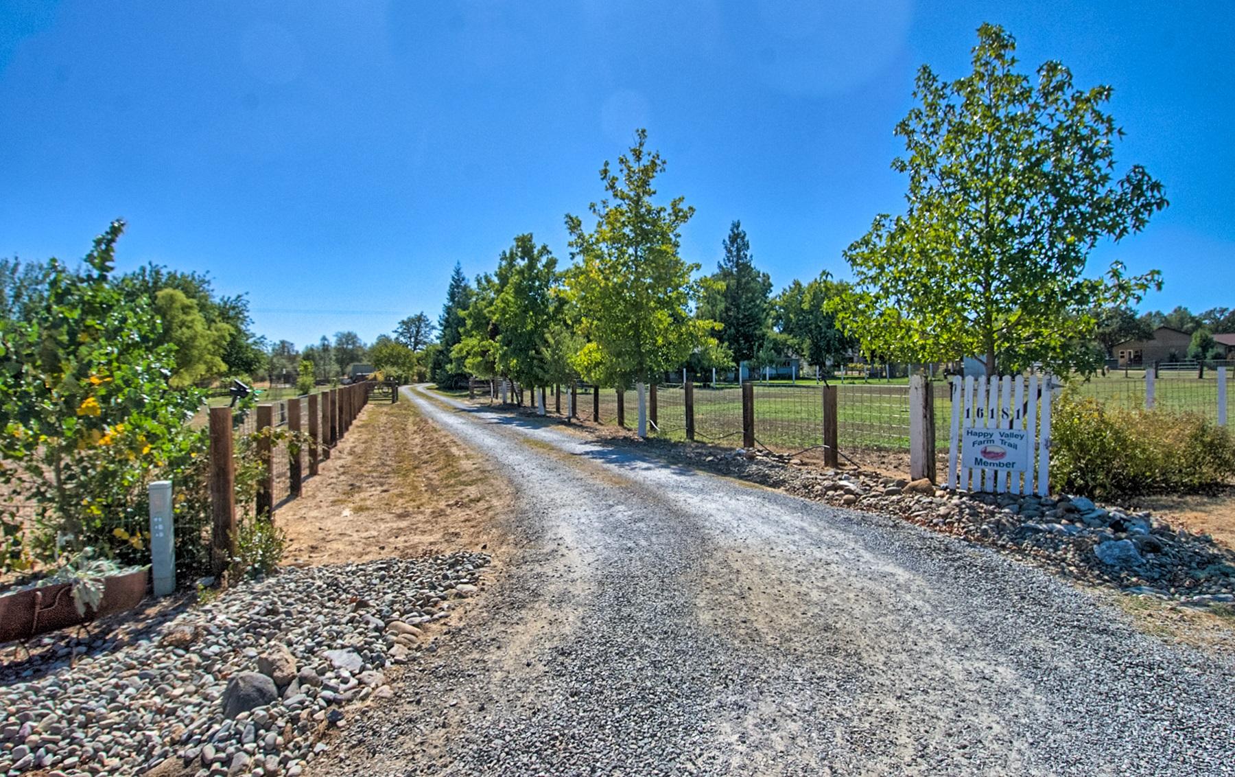 16181 Willow Springs Road Anderson, CA 96007 - Photo 22 of 28 driveway