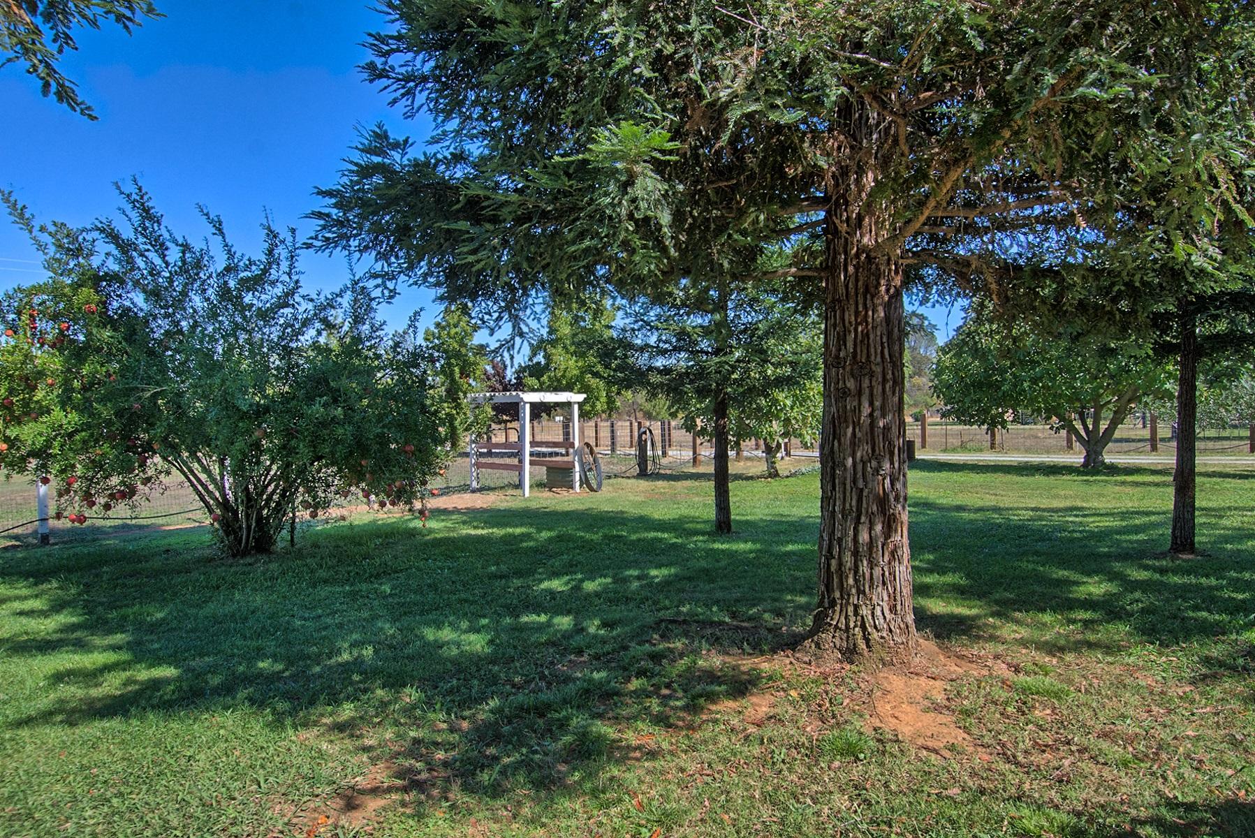 16181 Willow Springs Road Anderson, CA 96007 - Photo 24 of 28 yard