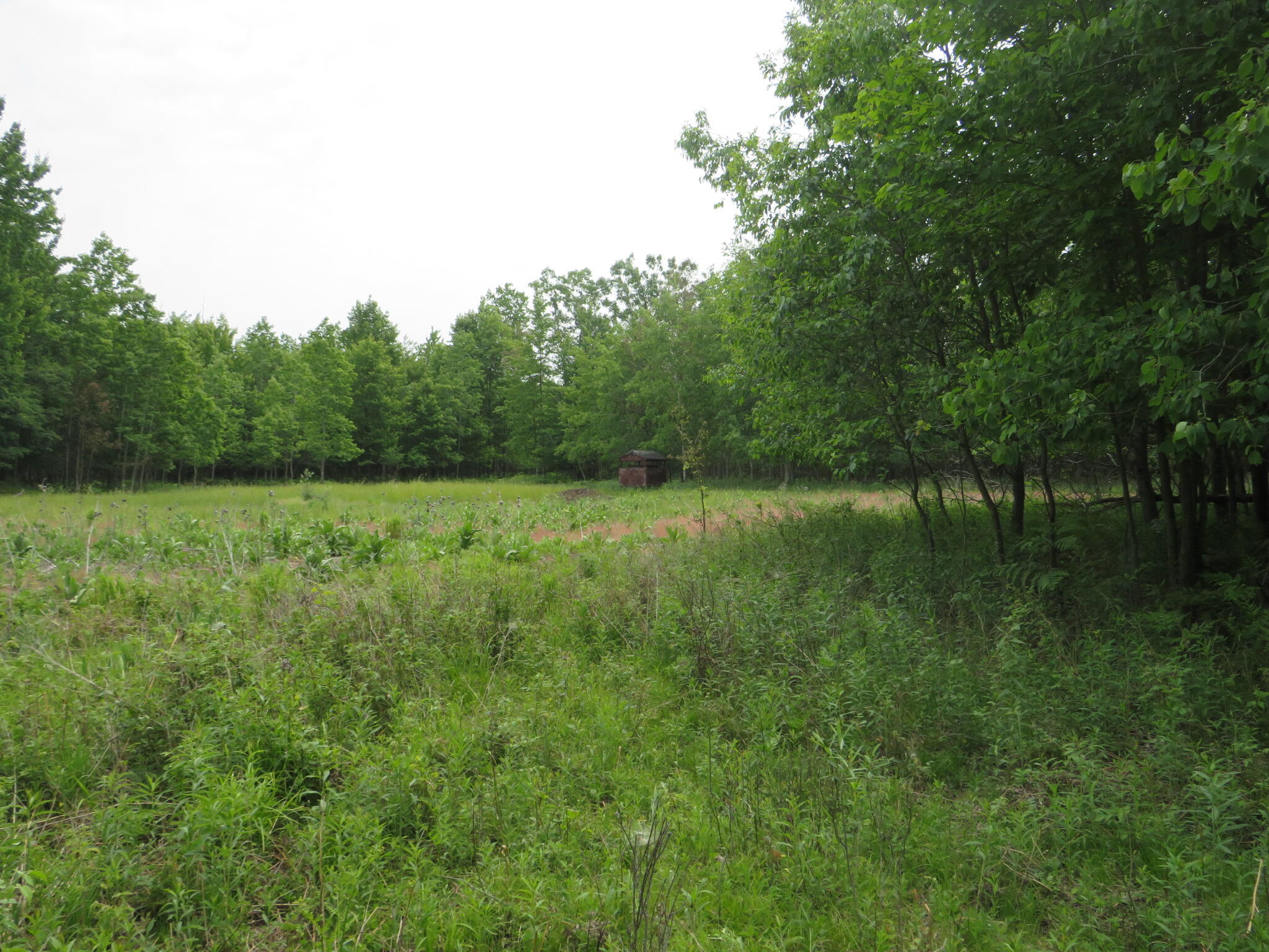Vl N Chippewa Road Mount Pleasant, MI 48858 - Photo 19 of 22 IMG_4394