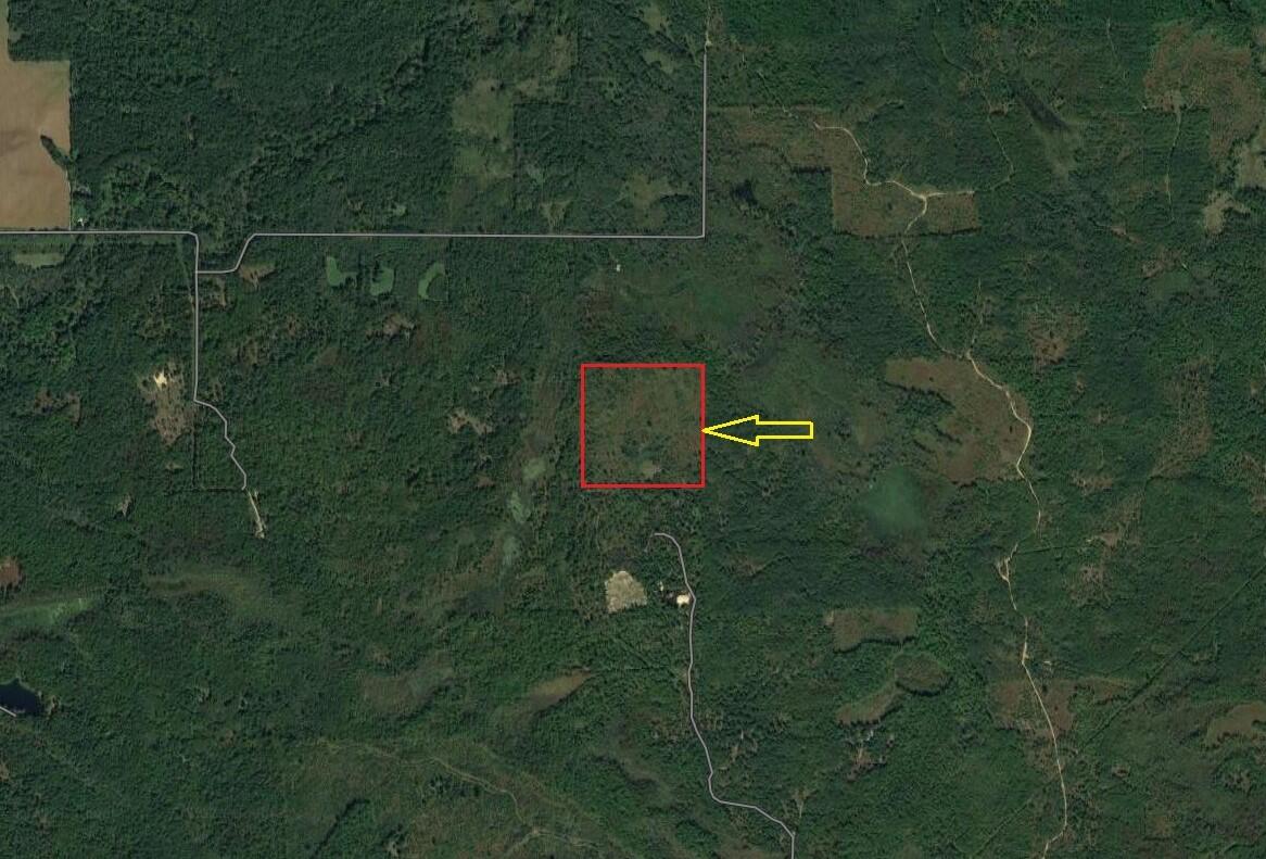 Vl N Chippewa Road Mount Pleasant, MI 48858 - Photo 20 of 22 Aerial1