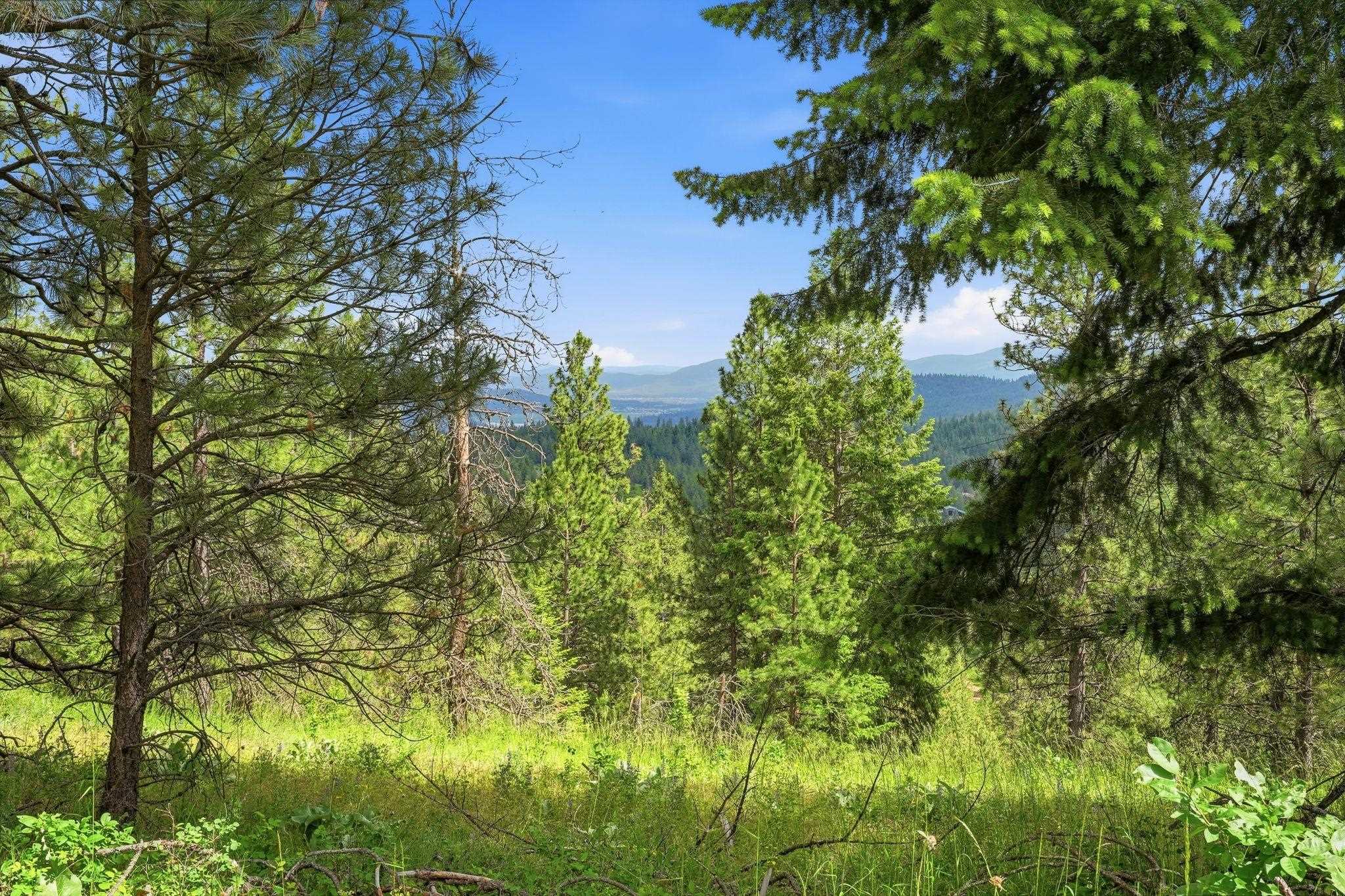 16301 North Scribner Branch Road Spokane, WA 99217 - Photo 19 of 28 Gallery Image 19