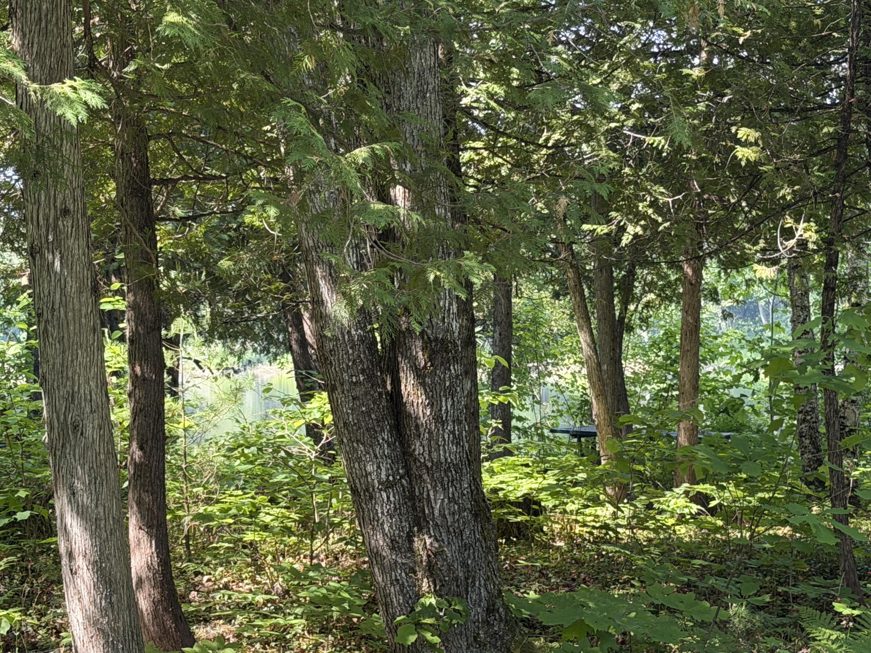 2a Main Road Greenbush, ME 04418 - Photo 8 of 12