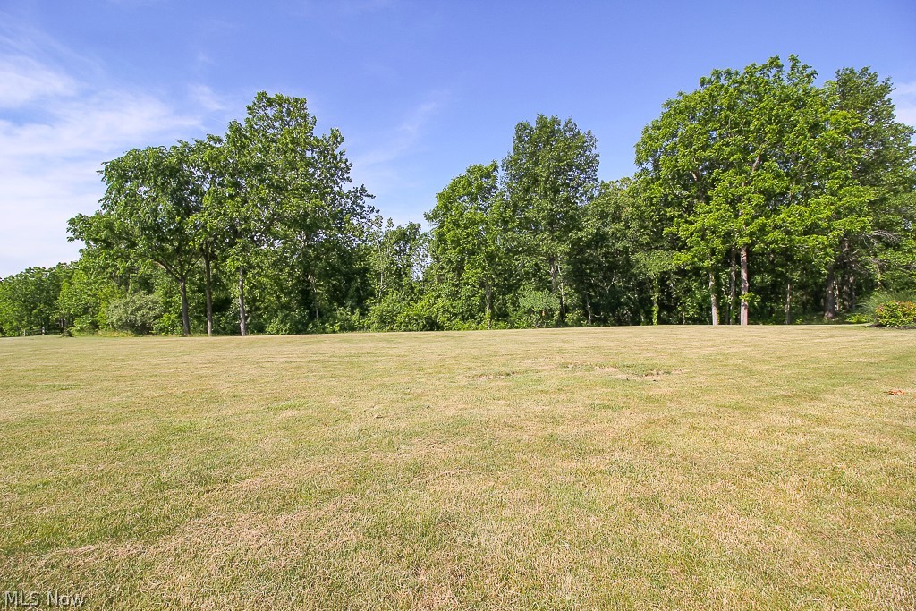 41096 Ravines Edge Way Lagrange, OH 44050 - Photo 31 of 33 Privacy in the back!