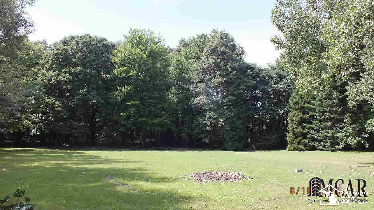 21206281-4.JPG