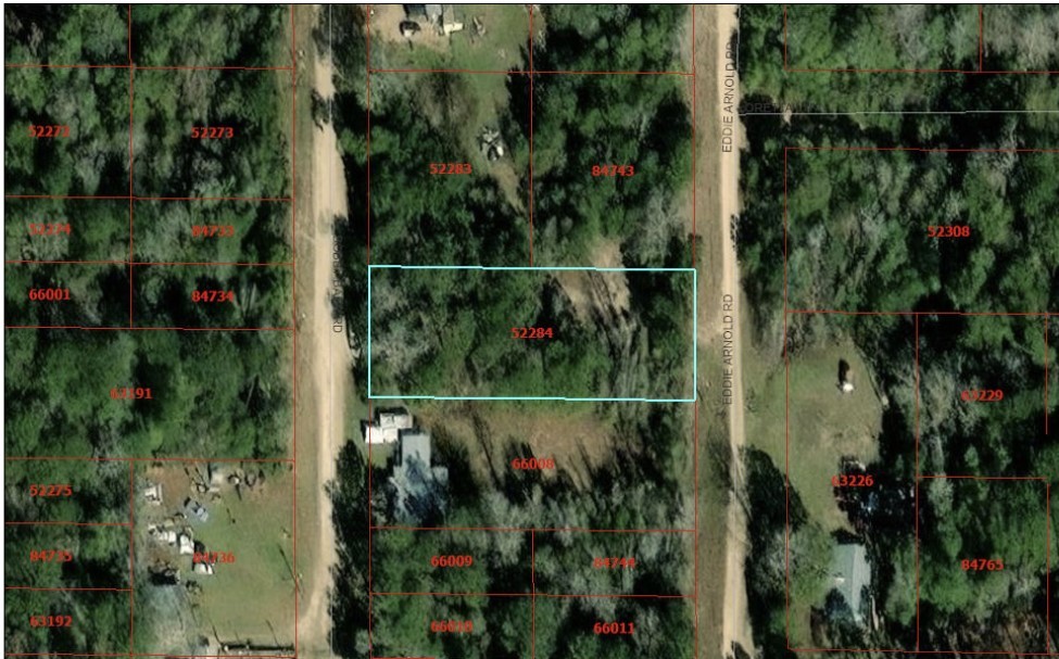 195 Bobby Baer Road Livingston, TX 77351 - Photo 4 of 4