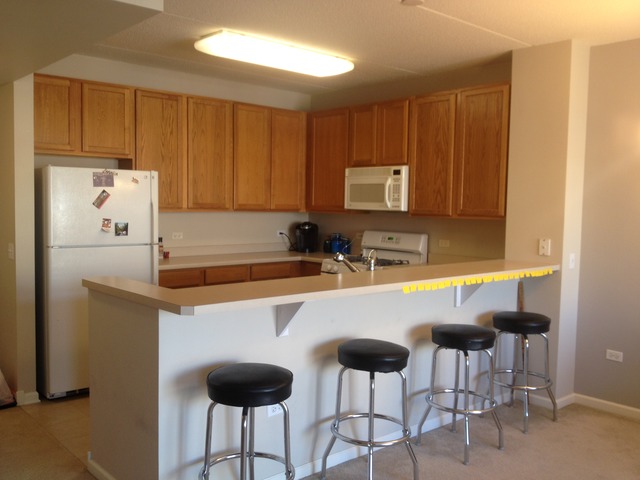 656 Pearson Street, Unit 710 Des Plaines, IL 60016 - Photo 3 of 17