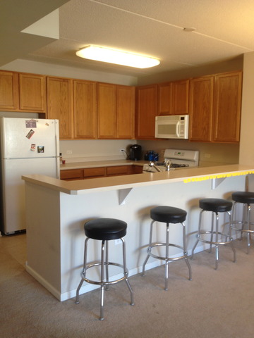 656 Pearson Street, Unit 710 Des Plaines, IL 60016 - Photo 4 of 17