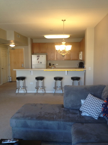 656 Pearson Street, Unit 710 Des Plaines, IL 60016 - Photo 5 of 17