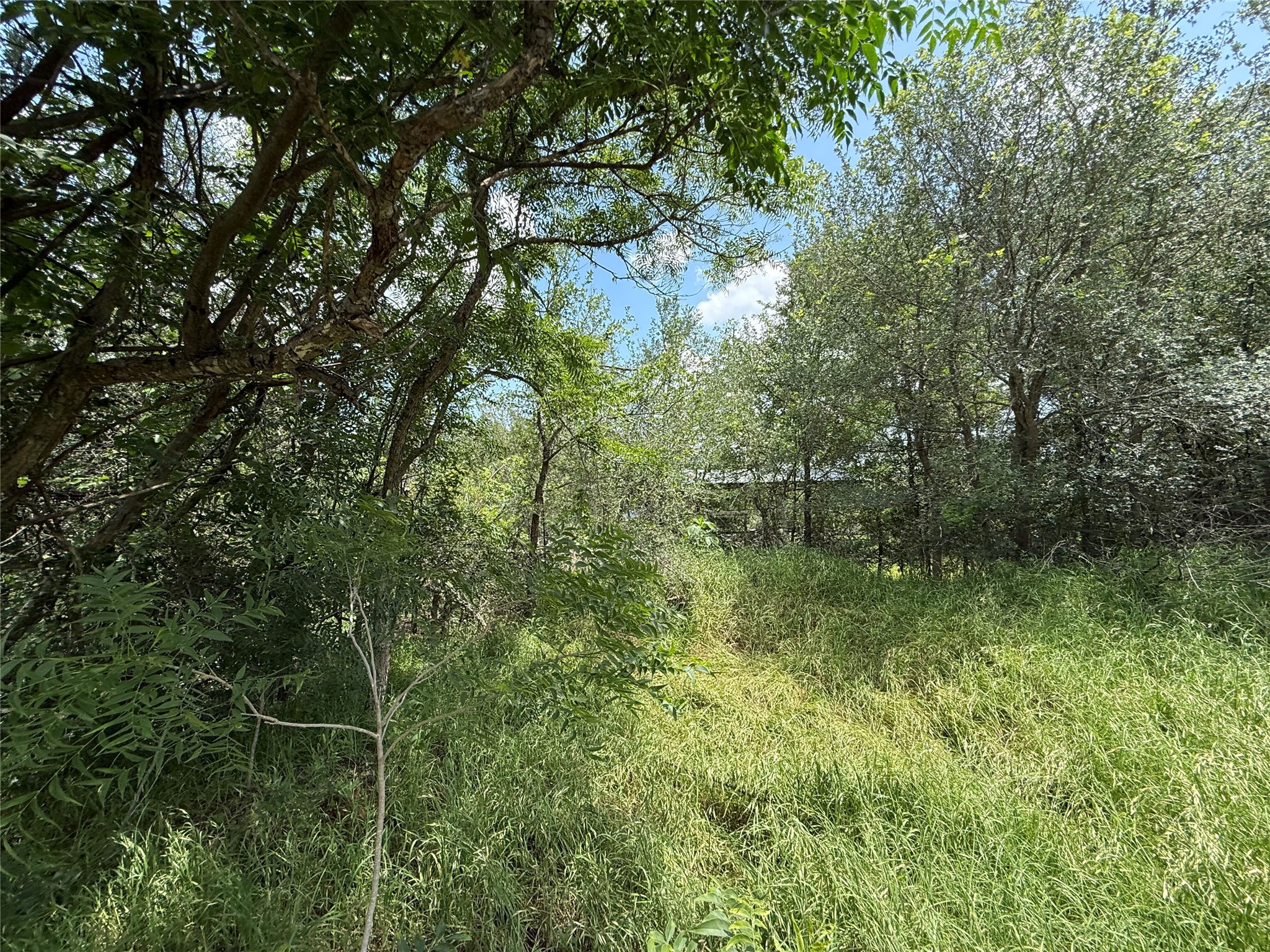 135 Jackson Street Elgin, TX 78621 - Photo 2 of 2 a view of a lush green space