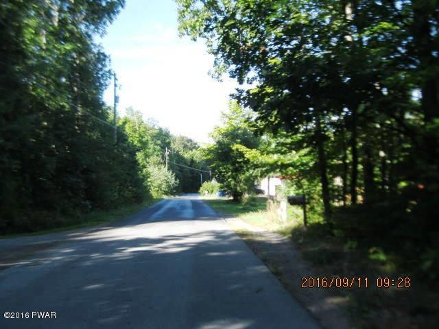 369 Butternut Road Newfoundland, PA 18445 - Photo 4 of 17 Street Scene