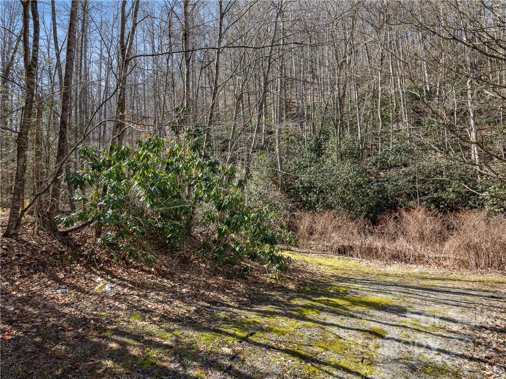 130 Saw Branch Road Candler, NC 28715 - Photo 1 of 12 Gallery Image 1