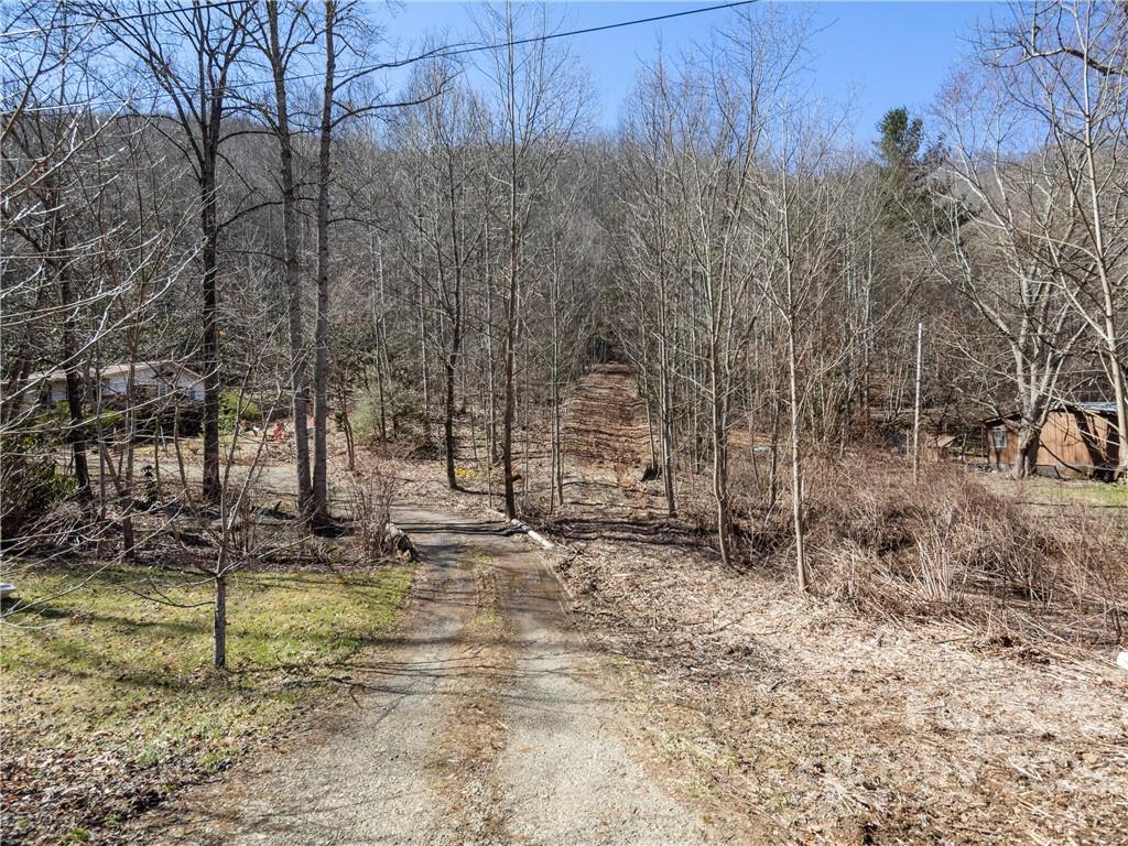 130 Saw Branch Road Candler, NC 28715 - Photo 12 of 12 Gallery Image 12