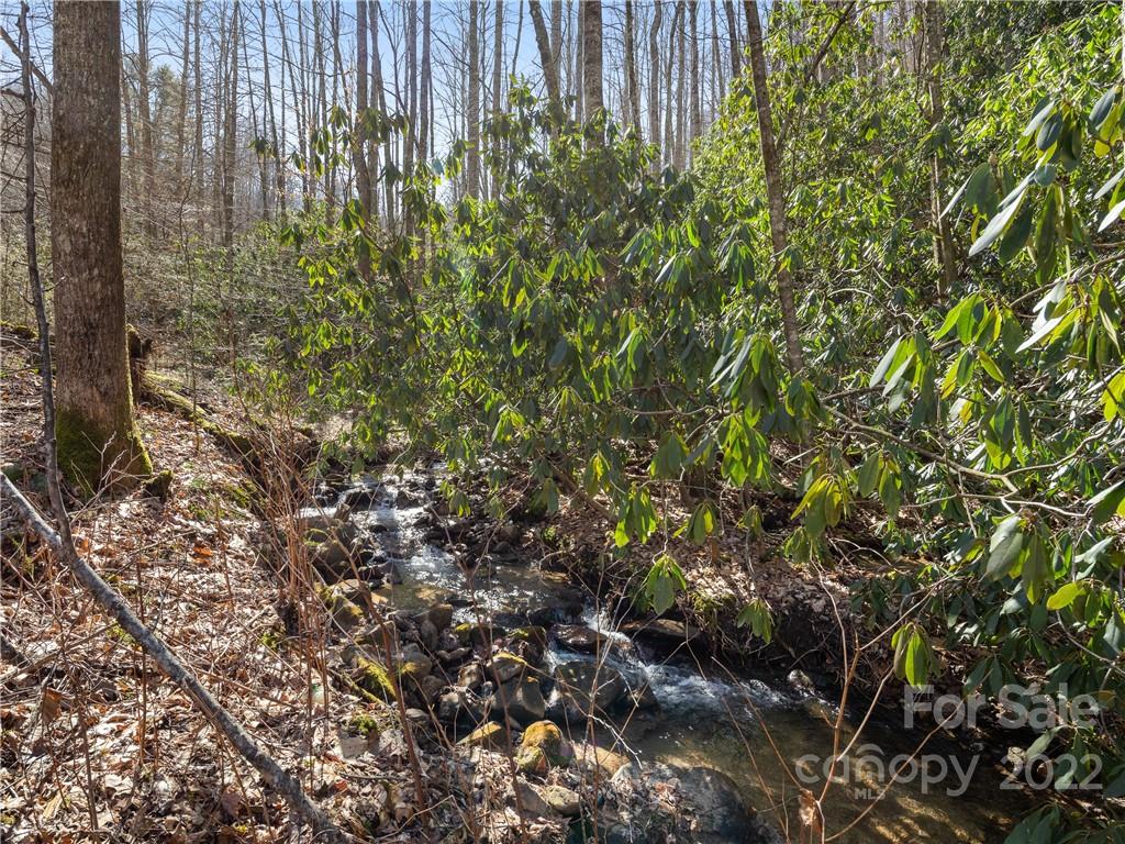 130 Saw Branch Road Candler, NC 28715 - Photo 2 of 12 Gallery Image 2