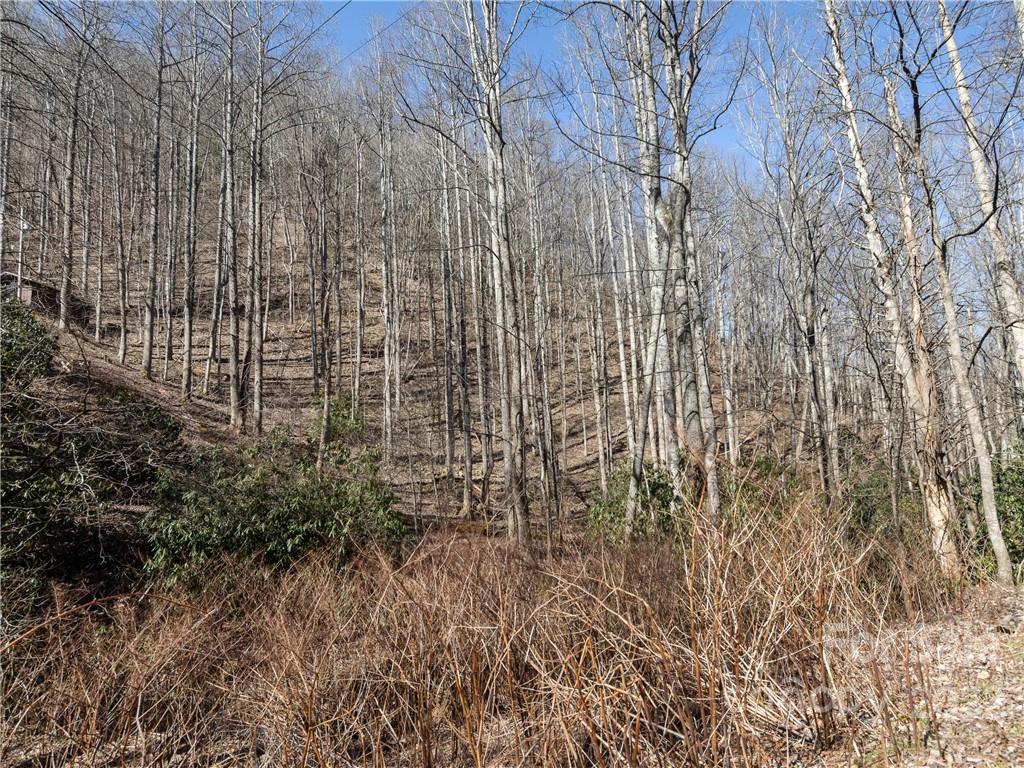 130 Saw Branch Road Candler, NC 28715 - Photo 5 of 12 Gallery Image 5